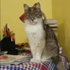 Отзыв от Наталия Корнева
